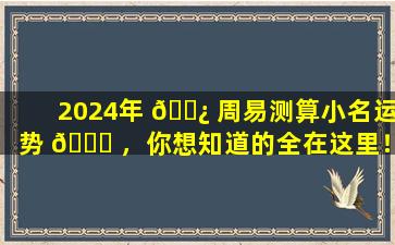 2024年 🌿 周易测算小名运势 🐎 ，你想知道的全在这里！